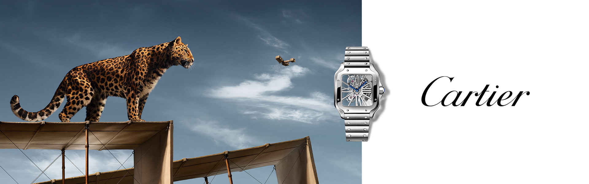 Top Watch Brands for Sale in KC
