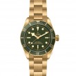 TUDOR Black Bay 58 Watch - M79018V-0006 at TIVOL