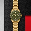 TUDOR Black Bay 58 Watch - M79018V-0006 at TIVOL