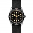 Tudor Black Bay 41mm Steel