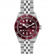 TUDOR Black Bay 58 Watch - M7939A1A0RU-0001 at TIVOL