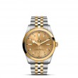 TUDOR Black Bay 31/36/39/41 S&G Watch - M79643-0008 at TIVOL