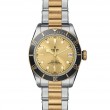 TUDOR Black Bay Watch - M79733N-0004 at TIVOL