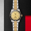 TUDOR Black Bay Watch - M79733N-0004 at TIVOL